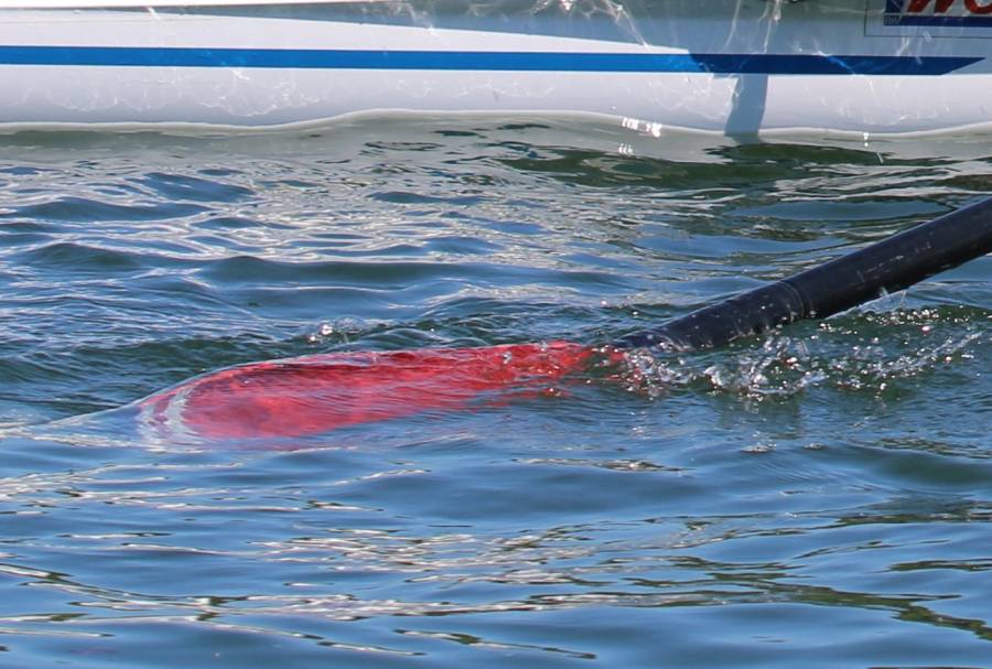 blattfuehrung.jpg blattfuehrung.jpg